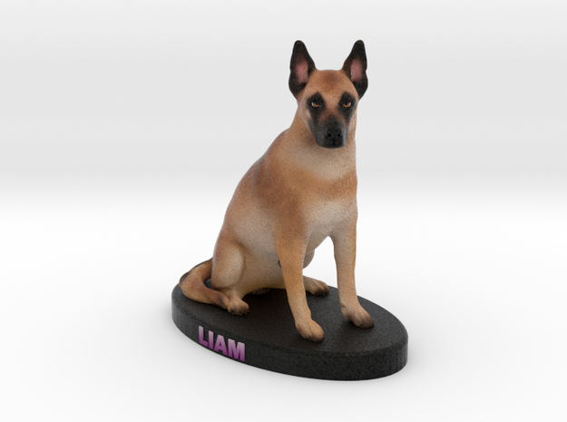 Custom Dog Figurine - Liam in Full Color Sandstone