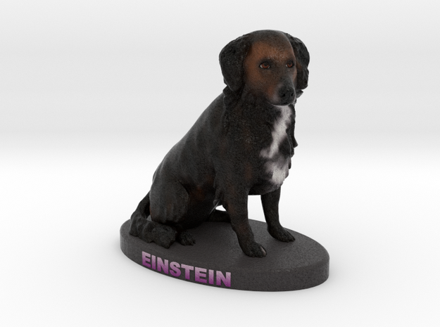 Custom Dog Figurine - Einstein in Full Color Sandstone