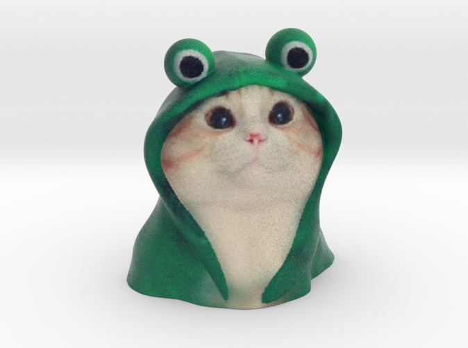 frog hoodie