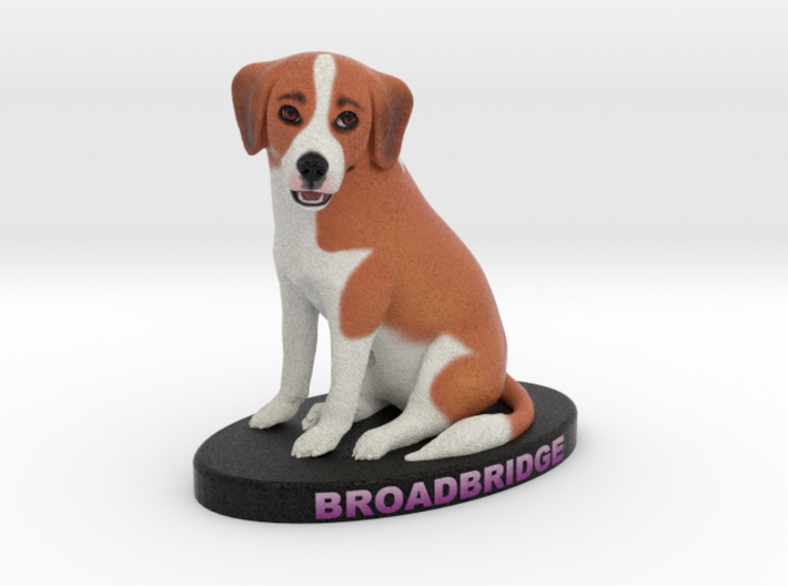 Custom Dog Figurine - Broadbridge 3d printed