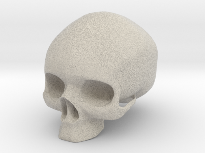 Skull 3d printed