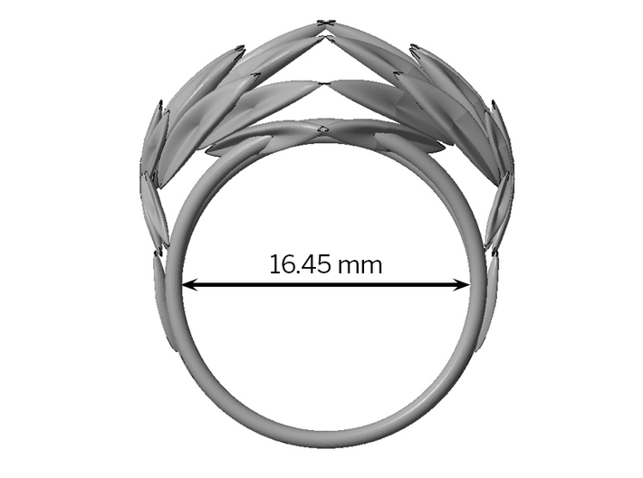 Oath Ring (Size 6) 3d printed 