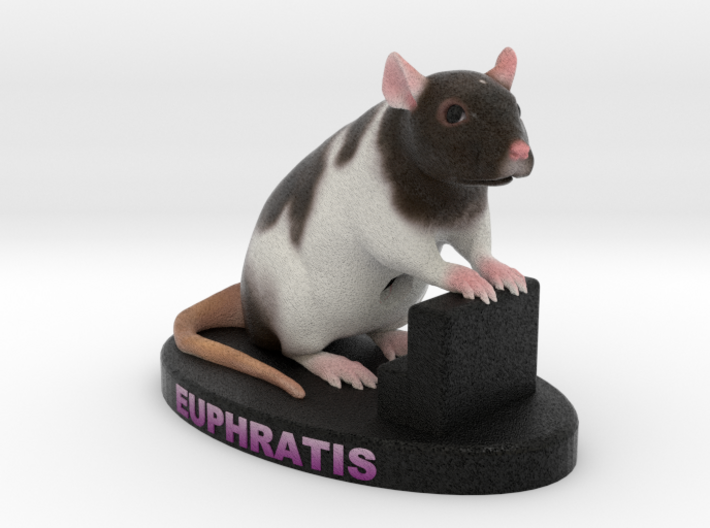Custom Rat Figurine - Euphratis 3d printed