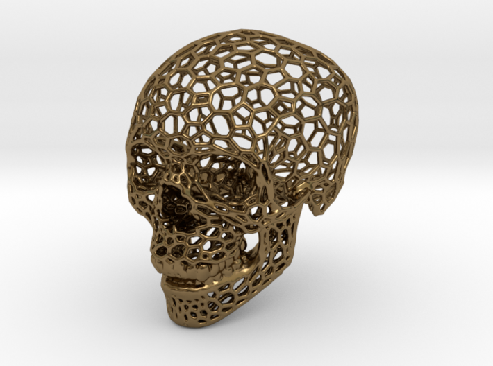 Voronoi Skeletonized Skull 3d printed