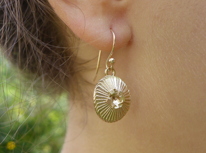 Coccolithus Coccolithophore Plankton Earrings 3d printed Coccolithus earring in raw bronze, front