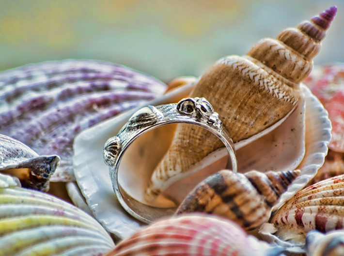 Sea Shell Ring 1 - US-Size 4 (14.86 mm) 3d printed Seashell Ring in polished silver (shown: size 10)