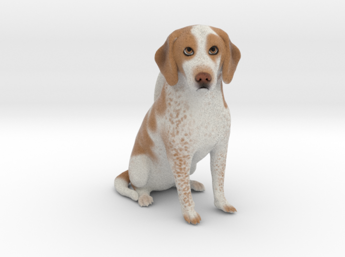 Custom Dog Figurine - Rocky 3d printed