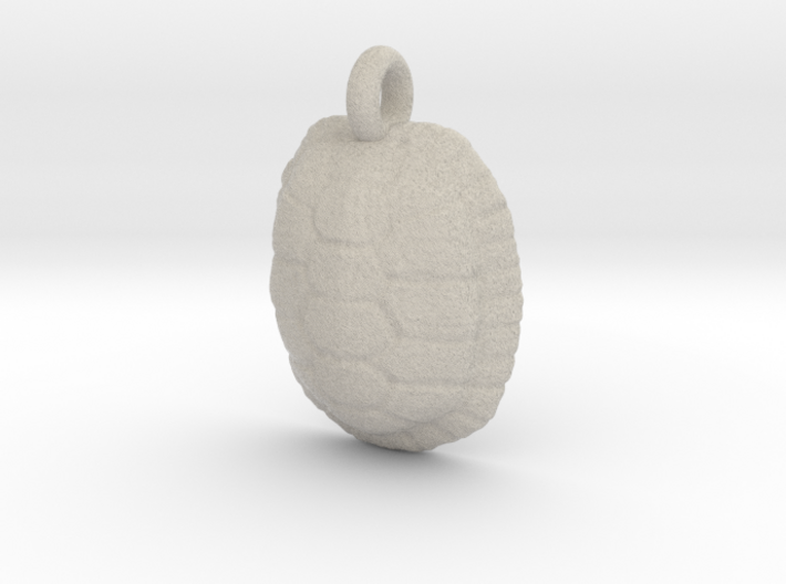 Turtle Shell Pendant Version 1 3d printed