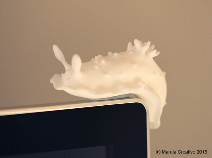 Doris the Nudibranch 3d printed White Strong & Flexible Polished - on computer monitor!