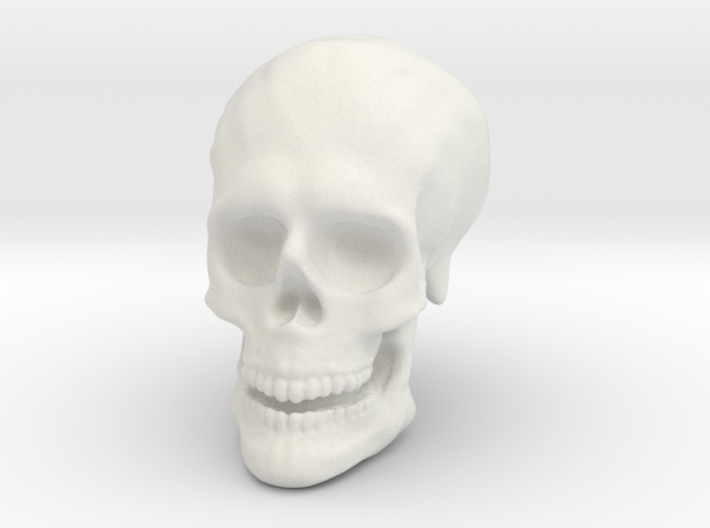 Solid Skull 3d printed