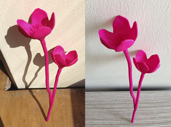 Cherry Blossom 3d printed Pink Strong and Flexible Shapeways