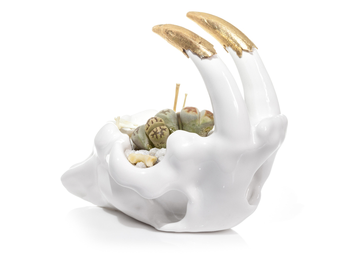 Smilodon Skull Planter 3d printed With optional bronze teeth