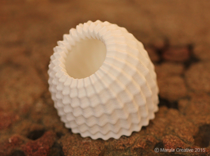 Brain Coral Jewellery Container 3d printed White Strong & Flexible Polished