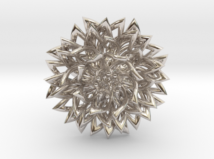 Ring The Chrysanthemum / size 9 1/2 US ( 19,4 mm) 3d printed