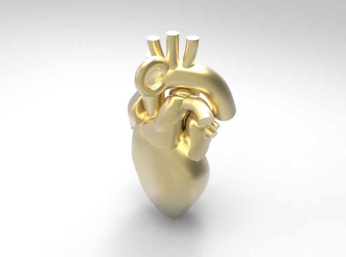 Human Heart Pendant 3d printed
