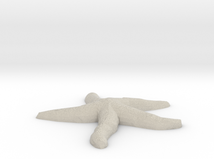 Starfish 3d printed