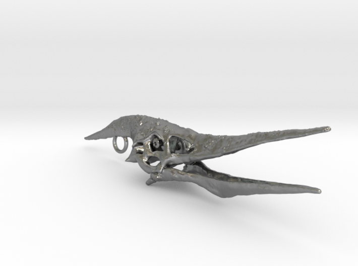 Pteranodon skull pendant 3d printed