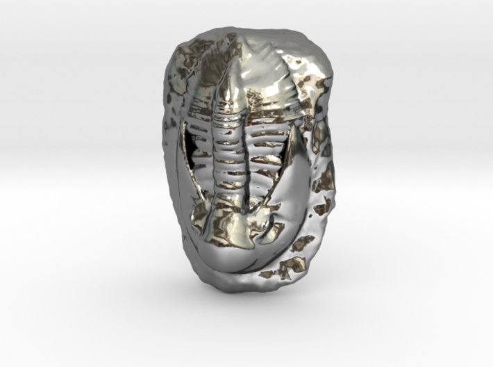 Trilobite Fossil 3d printed