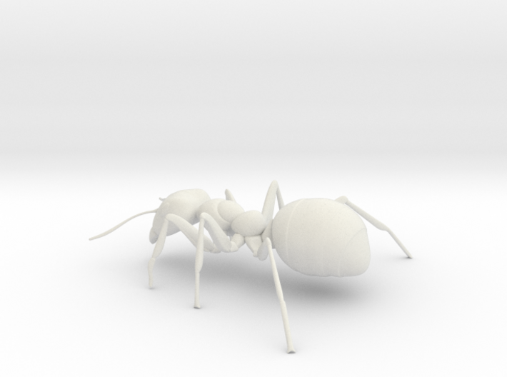 ANT-7inch 3d printed
