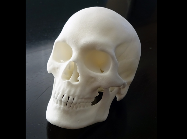 Realistic Human Skull With Removable Jaw V.2.00 3d printed 