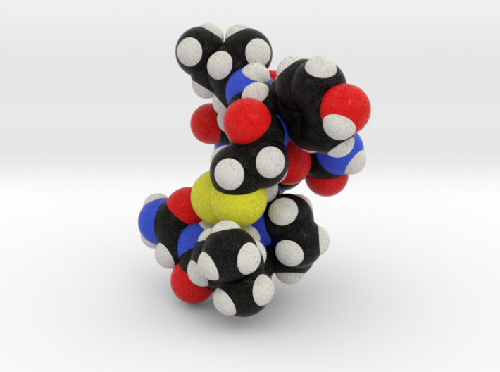 Oxytocin Nona Peptide Molecule Model 3d printed