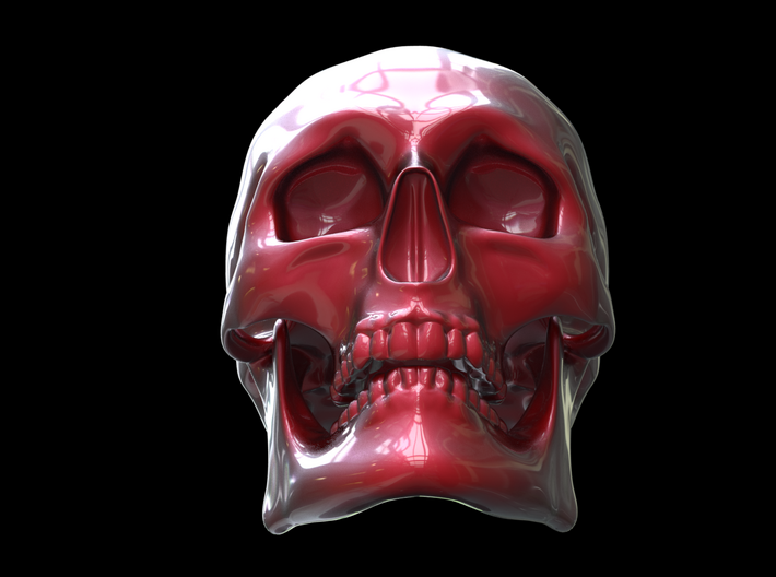 Skull Real 3d printed 