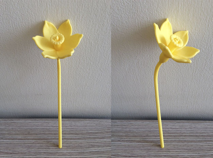 Narcissus Flower 3d printed Shapeways Print, Yellow Strong &amp; Felxible