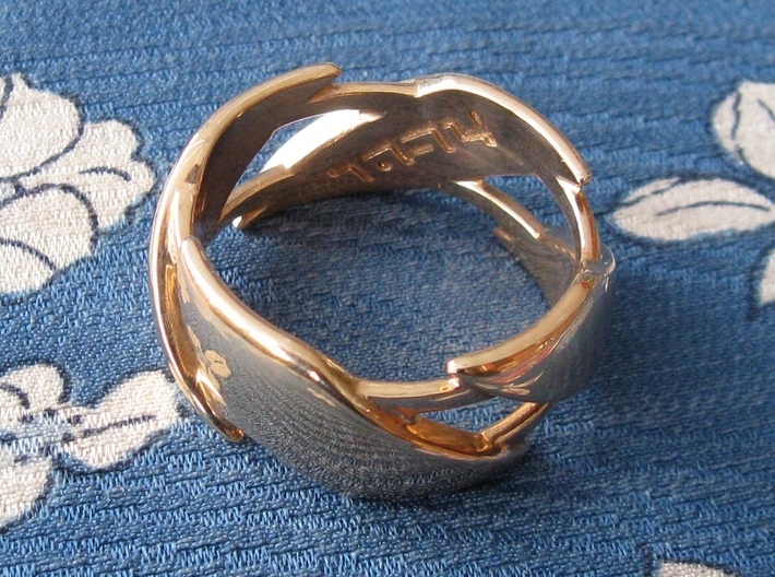 US16 Ring III 3d printed 
