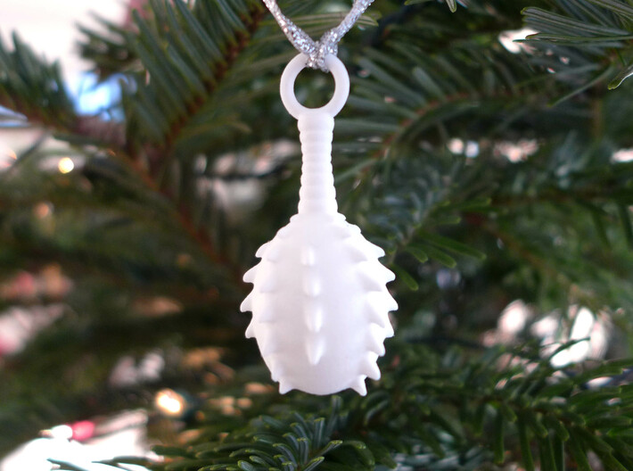 Lagena Ornament - Science Gift 3d printed Lagena ornament in white nylon plastic