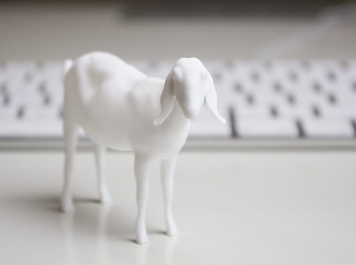 3D Scanned Nubian Goat 3d printed