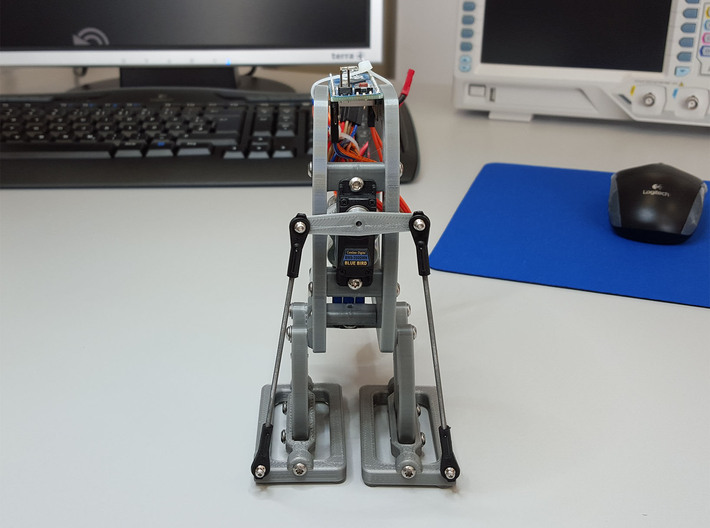 Biped Robot Walker 3d printed 