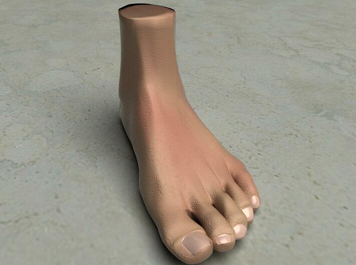 Life Size Foot - 8.7&quot; - Solid 3d printed This is a rendering of the foot, not the actual product!