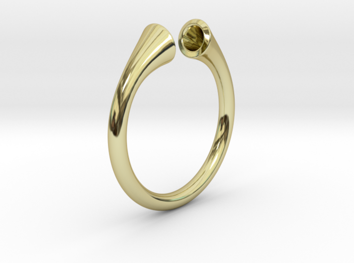 Gramaphonic Ring, US size 8,5 d= 18mm. Place M 3d printed
