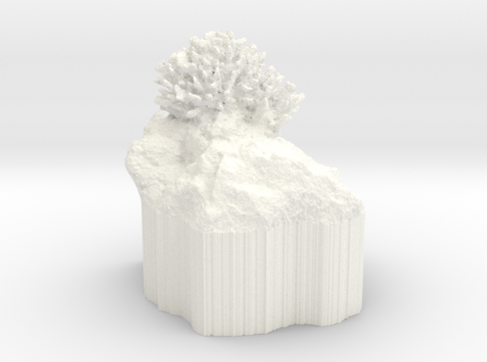 Tiny Coral - Pocillopora meandrina 3d printed