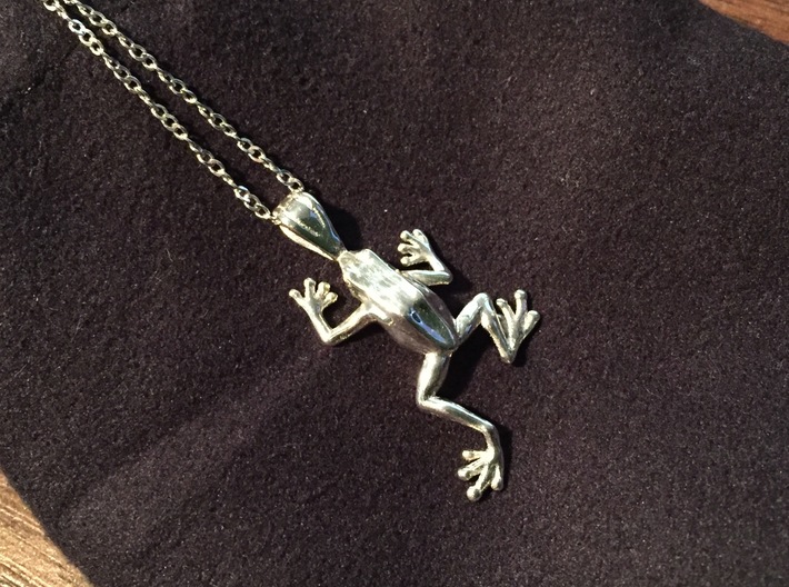 Poison Arrow Frog Pendant 3d printed Silver Polished Print
