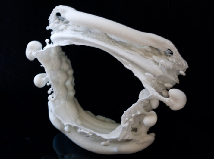 Slice of Spine - one Vertebra 3d printed Raw SW&F