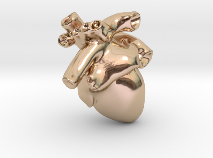 Anatomical Heart Pendant 3d printed