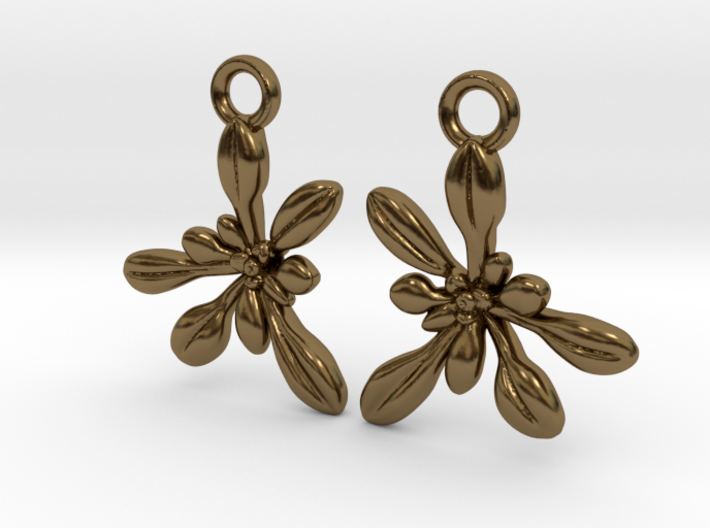 Arabidopsis Rosette Earrings 3d printed
