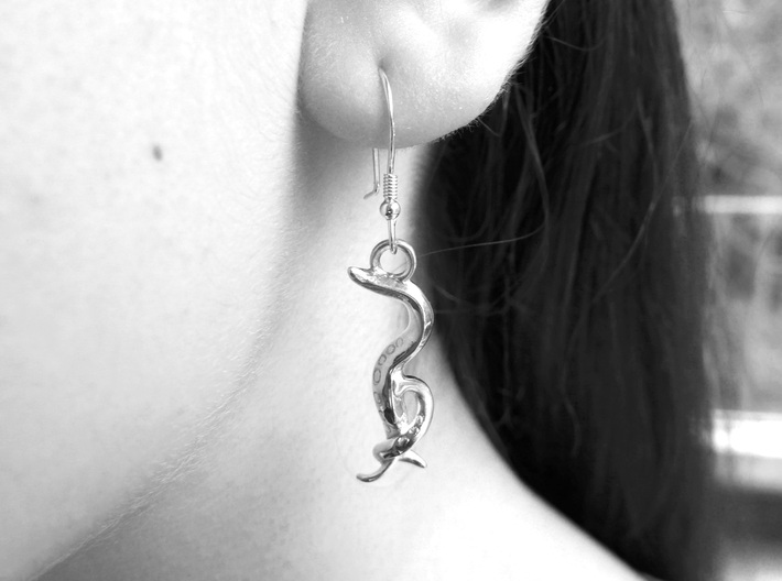 C. elegans Nematode Worm Earrings 3d printed Caenorhabditis earrings in polished silver