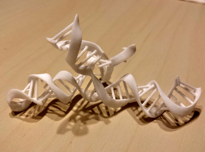 CRISPR Guide RNA with Target (mini scale) 3d printed Printed in White Strong & Flexible