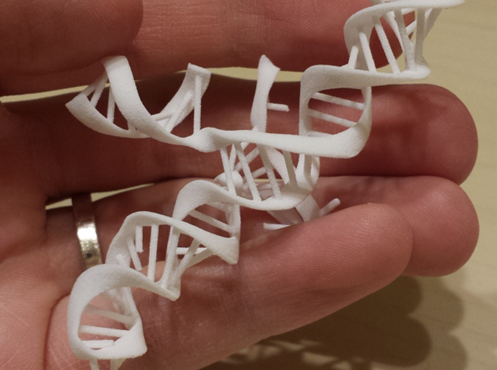 CRISPR Guide RNA with Target (mini scale) 3d printed Printed in White Strong &amp; Flexible
