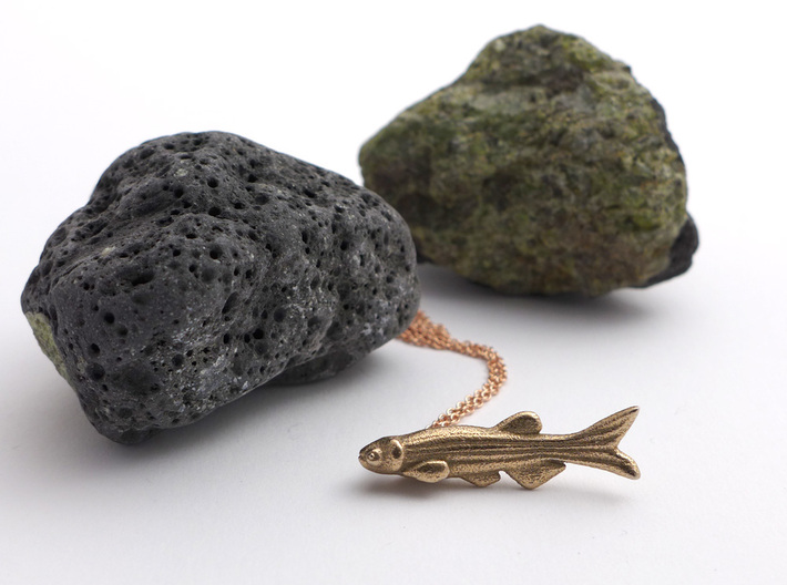Zebrafish Pendant - Science Jewelry 3d printed Zebrafish pendant in stainless steel