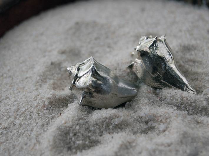 A Little Sea Shell (with Hole) 3d printed Polished silver (left) Raw silver (right)