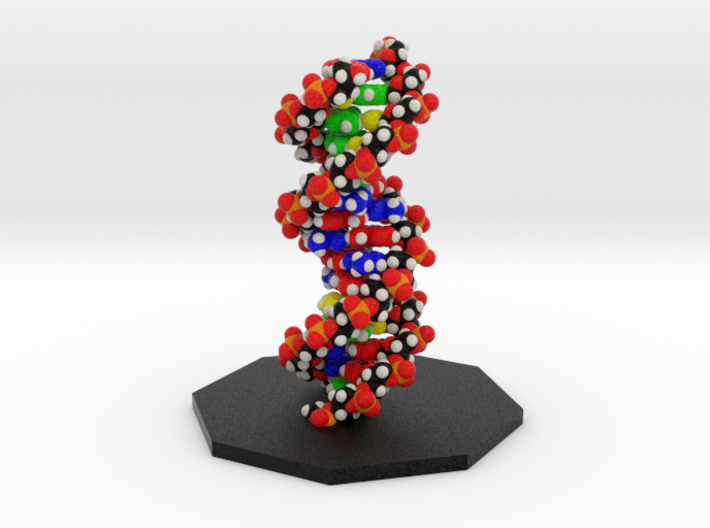 Crick DNA Molecule Model. 3d printed