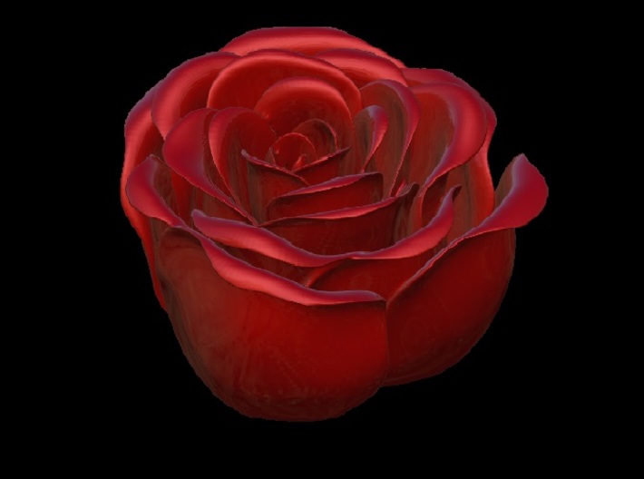 Rose in Bloom 3d printed