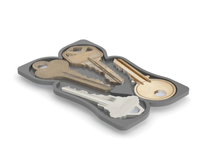 Keys Card (for Sliminal) 3d printed In-use Solidworks render with keys.