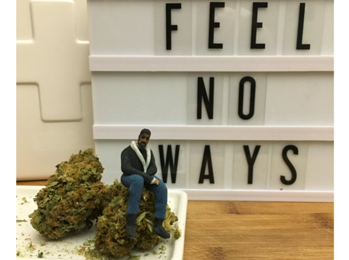Smallest Drake Views 3d printed 6 grams of weed for scale