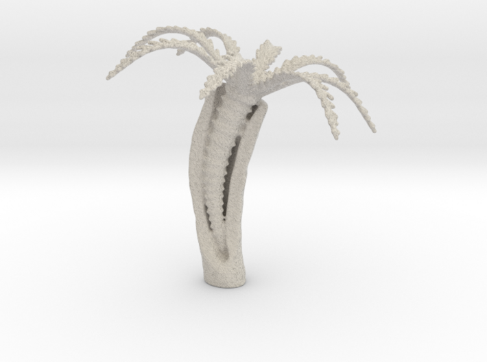 Feather-duster Worm 3d printed