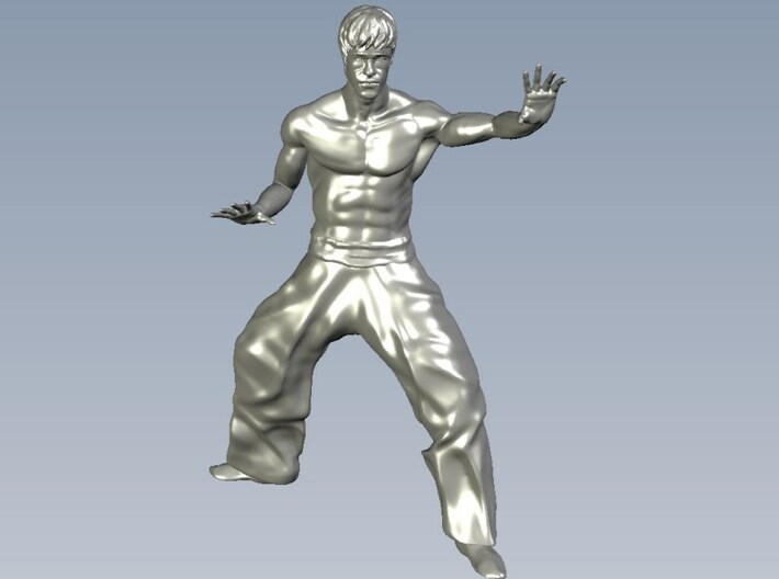 1/15 scale Bruce Lee fighting figure 3d printed 