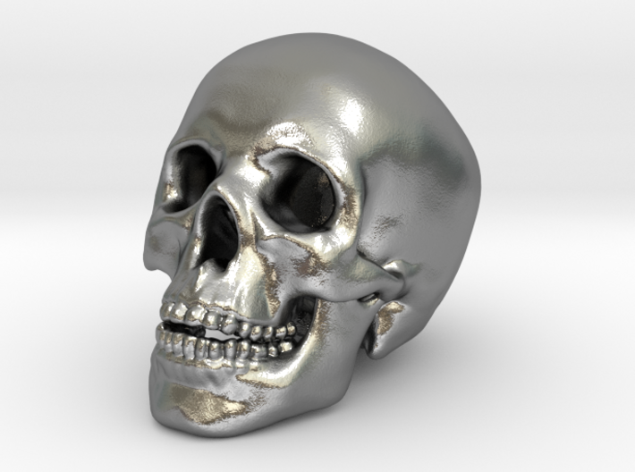 Human Skull - medium 3d printed